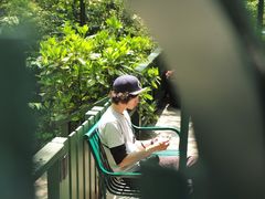 -三鹰之森吉卜力美术馆