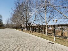 -北京张裕爱斐堡酒庄