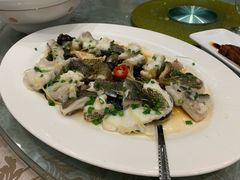 清蒸生猛开刀龙趸-新兴家喻酒家·羊城名宴(昌岗店)