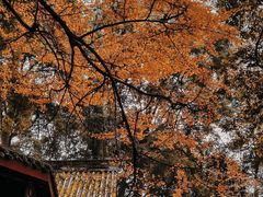 -青城山