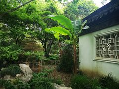 -上海醉白池公园