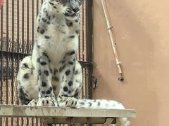 -青藏高原野生动物园
