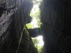 -梦幻奥陶纪景区