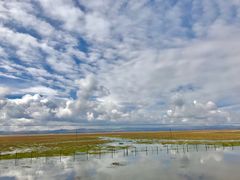 -郭莽湿地