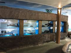 水产区-郑庄脂渣海鲜楼(九水路店)