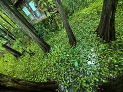 -东湖落雁景区