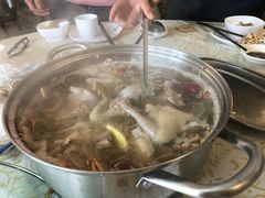 药膳乳鸽-百利鸽王(紫薇路店)