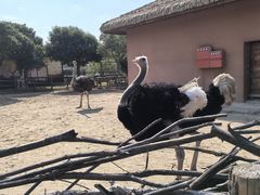 -祥源·阜阳生态乐园