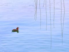 -北海公园