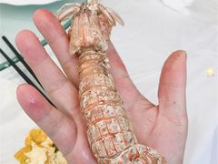 -金海湾海鲜排档(朱家尖店)
