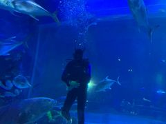 -华夏文旅海洋公园