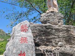 -大岭沟猕猴桃谷风景区
