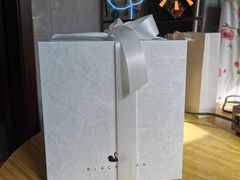 -BLACKSWAN黑天鹅(环球店)