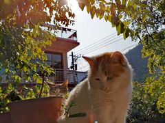 -何适山庄 ·可团建(水长城P2停车场店)