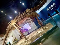 -衢州市博物馆