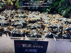 -乔哥铭洋海鲜自助(皇城恒隆广场店)