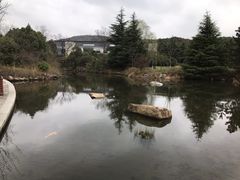 -白马涧龙池景区