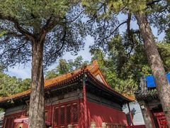 -潭柘寺景区
