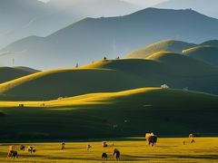 -塞罕坝国家级自然保护区