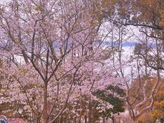 -徐家汇源景区-衡山公园