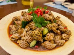 冰镇花螺-何氏海产海鲜餐厅(体育中心店)