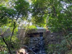 -大雁山风景区