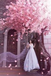 -金夫人婚纱摄影(华南店)