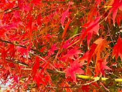 -南山风景名胜区