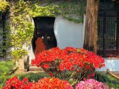 -惠山古镇·寄畅园