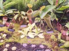-中国科学院西双版纳热带植物园