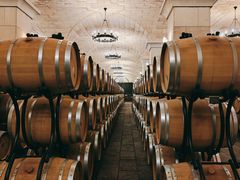 -北京张裕爱斐堡酒庄