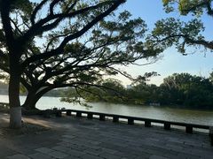 -江心屿景区
