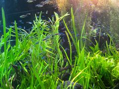 -上海海洋水族馆