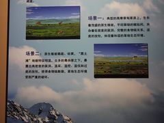 -青藏高原自然博物馆