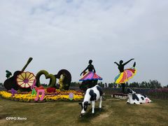 -荷兰花海