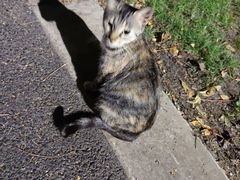 -东华大学(松江校区)