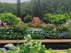 -深圳国际园林花卉博览园