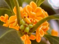 -杭州城北体育公园