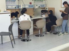 -达爱动物医院·犬猫分区·CT·复杂眼科(远洋山水分院)