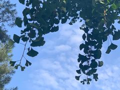 -西安化觉巷清真大寺