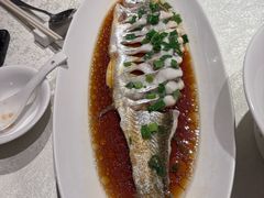 -金美华轩(东方路齐鲁店)