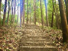 -广州市帽峰山景区