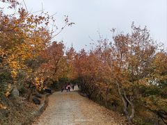 -国家植物园南园