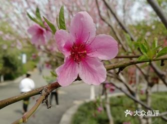 轻装上阵，去野外，去水边