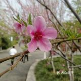 轻装上阵，去野外，去水边