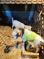 -酷嗒动物文化乐园(cutezoo西溪乐天城店)