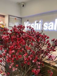 -雅仕 HAIR SALON 美发沙龙