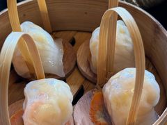 招牌虾饺皇-金鼎轩(鸟巢北辰荟店)
