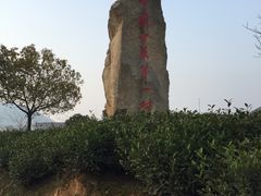 -帐篷客·溪龙茶谷度假酒店