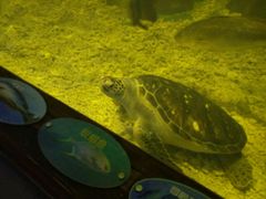 -上海长江河口科技馆